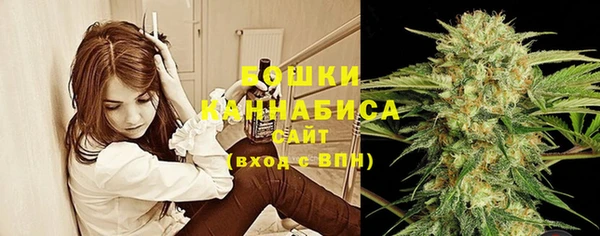 стафф Армянск