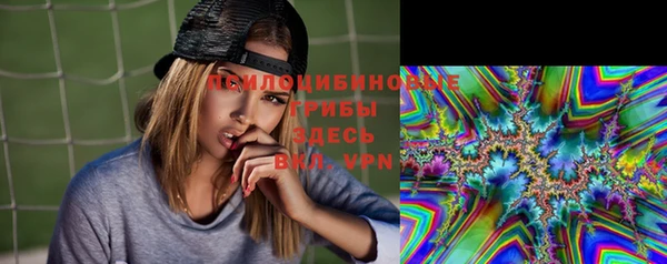 таблы Аркадак