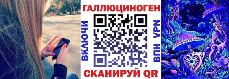 купить   Баксан  Псилоцибиновые грибы Magic Shrooms 